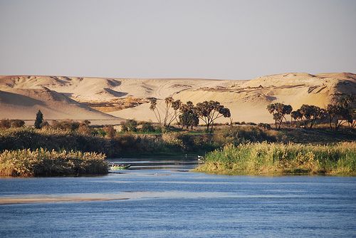Desert Meets the Nile